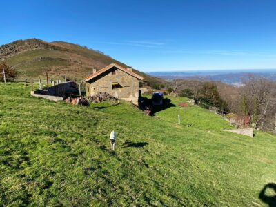 🏔️ ¡OCASIÓN ÚNICA EN ASTURIAS! Cabaña Rural con Finca de 8.500 m² en Mayáu Espines (Moreda)