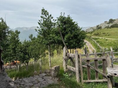 🏔️ ¡JOYAS DE ASTURIAS! Cabaña de Montaña en Salcedo de Quirós – Un refugio entre las nubes y los picos de Asturias