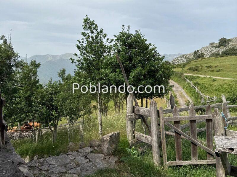 🏔️ ¡JOYAS DE ASTURIAS! Cabaña de Montaña en Salcedo de Quirós – Un refugio entre las nubes y los picos de Asturias