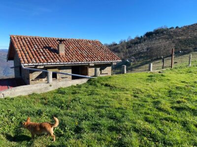 🏔️ ¡OCASIÓN ÚNICA EN ASTURIAS! Cabaña Rural con Finca de 8.500 m² en Mayáu Espines (Moreda)