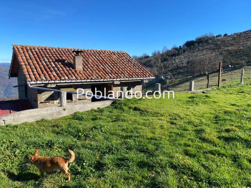 🏔️ ¡OCASIÓN ÚNICA EN ASTURIAS! Cabaña Rural con Finca de 8.500 m² en Mayáu Espines (Moreda)