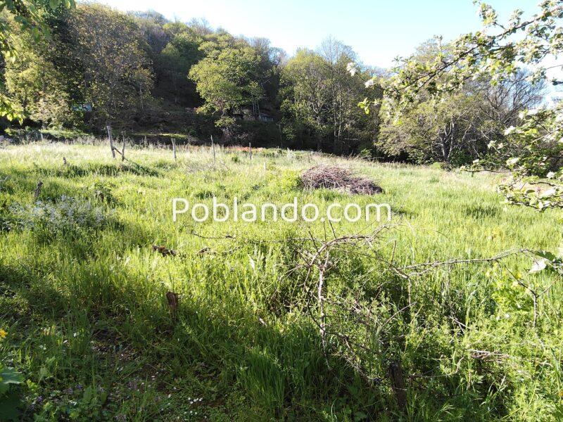 Exclusivo Conjunto Rural en Moldes: Vivienda de 200 m², Edificación de Piedra y Finca Privada.