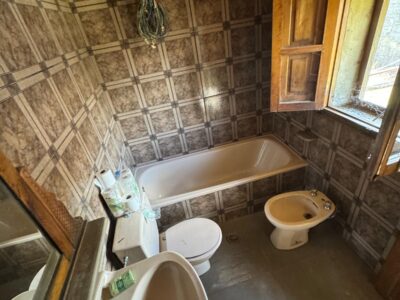 🏔️ ¡OCASIÓN ÚNICA EN ASTURIAS! CABAÑA RURAL CON FINCA DE 8.500 M