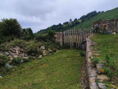 🏔️ ¡OCASIÓN ÚNICA EN ASTURIAS! Cabaña Rural con Finca de 8.500 m² en Mayáu Espines (Moreda)