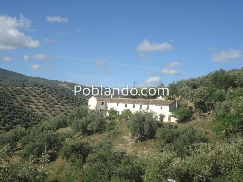 Vendo antiguo cortijo de 264 metros cuadrados construidos y 37296 metros cuadrados de parcela de olivar.