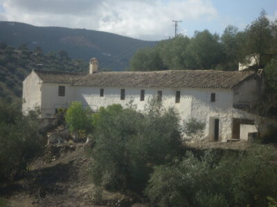 Vendo antiguo cortijo de 264 metros cuadrados construidos y 37296 metros cuadrados de parcela de olivar.