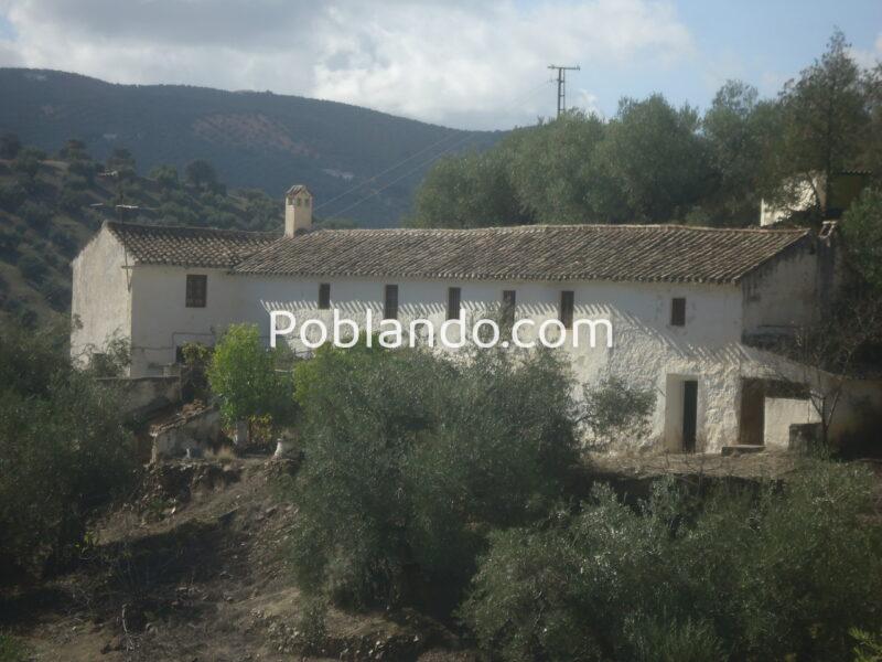 Vendo antiguo cortijo de 264 metros cuadrados construidos y 37296 metros cuadrados de parcela de olivar.