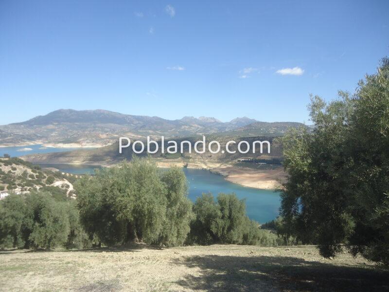 Vendo antiguo cortijo de 264 metros cuadrados construidos y 37296 metros cuadrados de parcela de olivar.