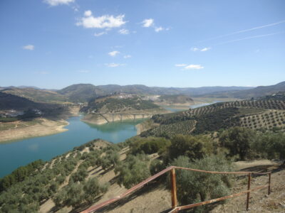 Vendo antiguo cortijo de 264 metros cuadrados construidos y 37296 metros cuadrados de parcela de olivar.