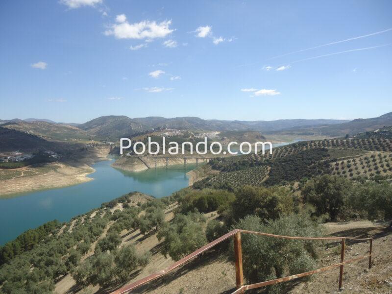 Vendo antiguo cortijo de 264 metros cuadrados construidos y 37296 metros cuadrados de parcela de olivar.