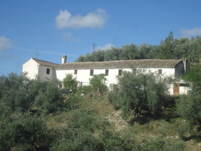 Vendo antiguo cortijo de 264 metros cuadrados construidos y 37296 metros cuadrados de parcela de olivar.