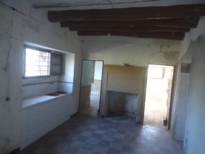 Vendo antiguo cortijo de 264 metros cuadrados construidos y 37296 metros cuadrados de parcela de olivar.