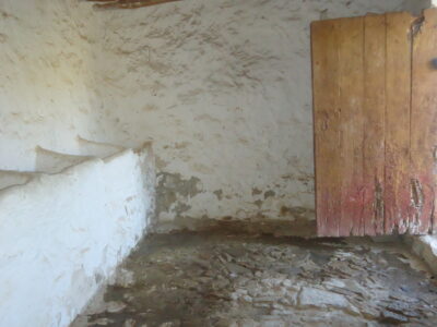 Vendo antiguo cortijo de 264 metros cuadrados construidos y 37296 metros cuadrados de parcela de olivar.
