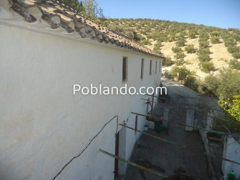 Vendo antiguo cortijo de 264 metros cuadrados construidos y 37296 metros cuadrados de parcela de olivar.