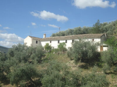 Vendo antiguo cortijo de 264 metros cuadrados construidos y 37296 metros cuadrados de parcela de olivar.
