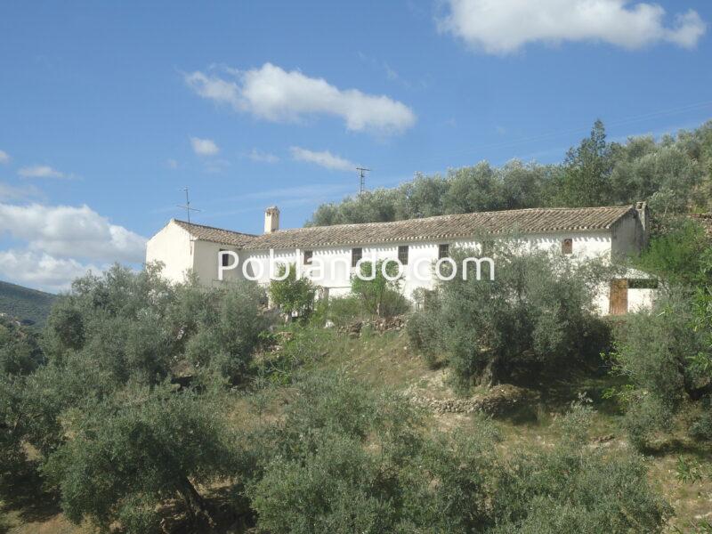Vendo antiguo cortijo de 264 metros cuadrados construidos y 37296 metros cuadrados de parcela de olivar.