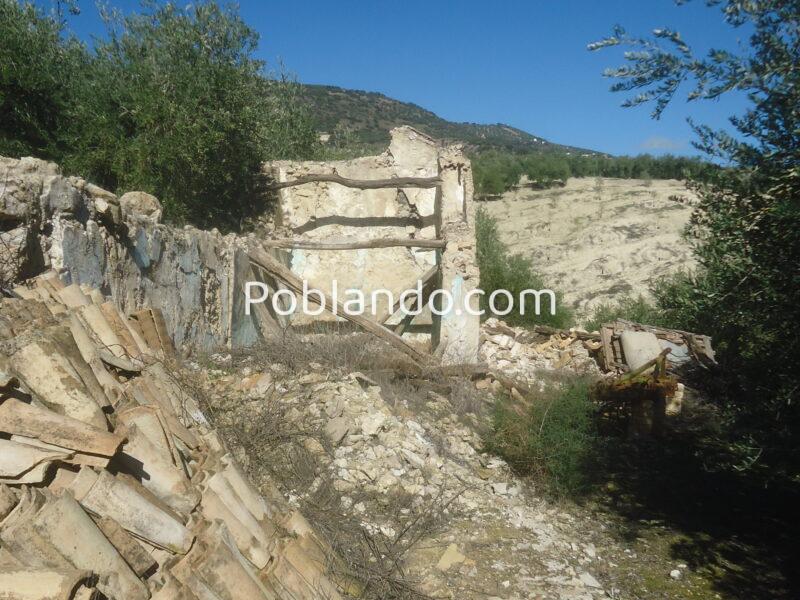 Vendo parcela de 3004 metros cuadrados de terreno de olivar con una casa en ruinas.