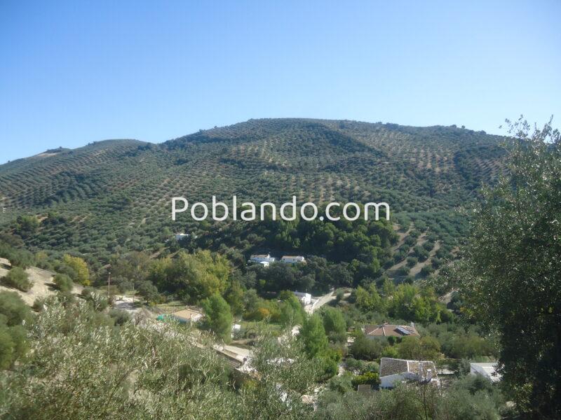 Vendo parcela de 13277 metros cuadrados de terreno de olivar.