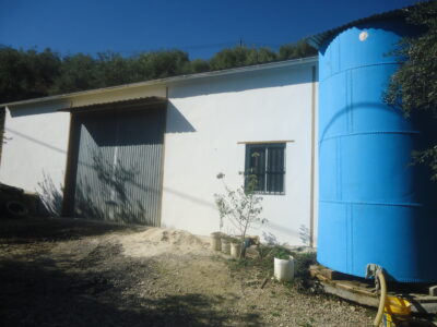 Vendo nave de 200 metros cuadrados y un terreno de 6768 metros cuadrados de terreno de olivar.