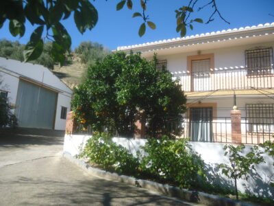 Vendo nave de 200 metros cuadrados y un terreno de 6768 metros cuadrados de terreno de olivar.