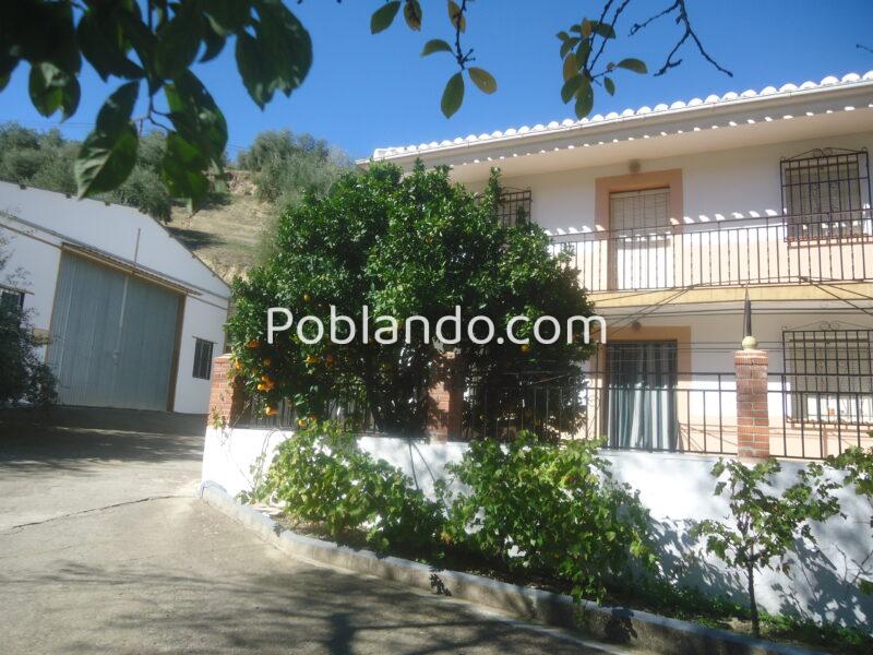 Vendo nave de 200 metros cuadrados y un terreno de 6768 metros cuadrados de terreno de olivar.