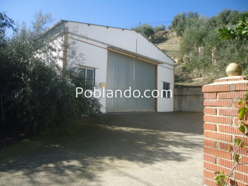 Vendo nave de 200 metros cuadrados y un terreno de 6768 metros cuadrados de terreno de olivar.