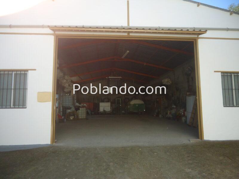 Vendo nave de 200 metros cuadrados y un terreno de 6768 metros cuadrados de terreno de olivar.