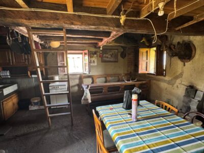 🏔️ ¡OCASIÓN ÚNICA EN ASTURIAS! CABAÑA RURAL CON FINCA DE 8.500 M