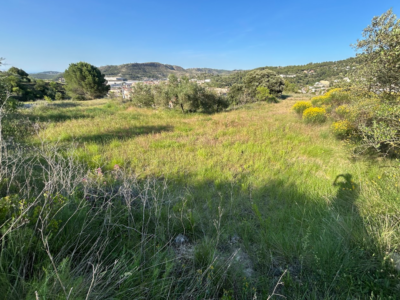Terreno en venta o alquiler en Pont de Vilomara