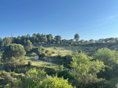 Terreno en venta o alquiler en Pont de Vilomara