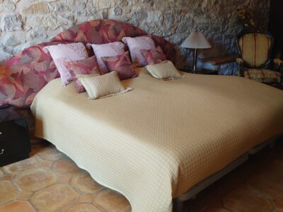 CHALET EN RELLEU