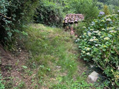 "Casa El Nietu" – Encanto Rústico en La Cabeza, Blimea (Asturias)
