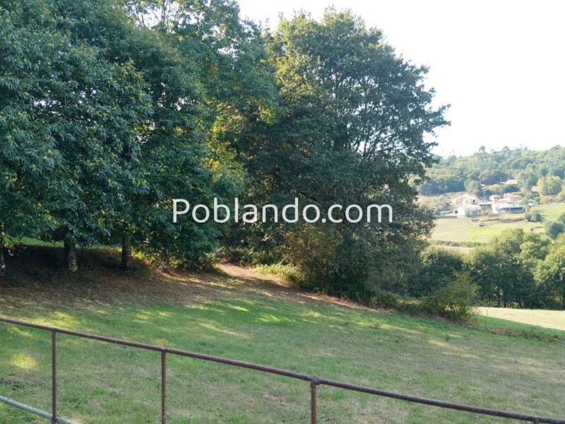 Vendo preciosa casona gallega