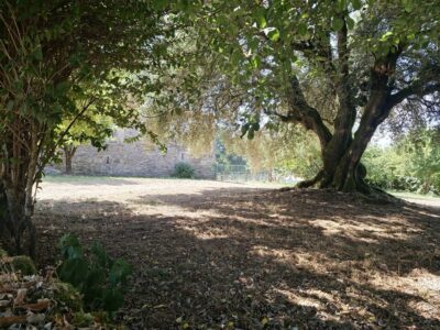 Vendo preciosa casona gallega