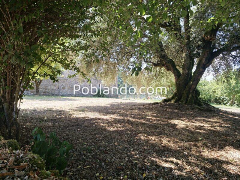 Vendo preciosa casona gallega