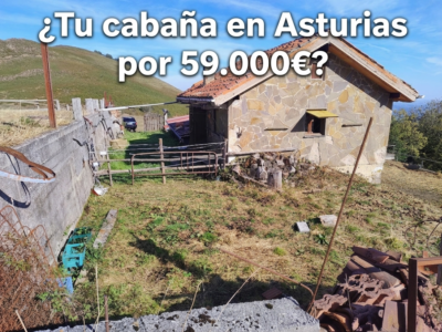 🏔️ ¡OCASIÓN ÚNICA EN ASTURIAS! Cabaña Rural con Finca de 8.500 m² en Mayáu Espines (Moreda)