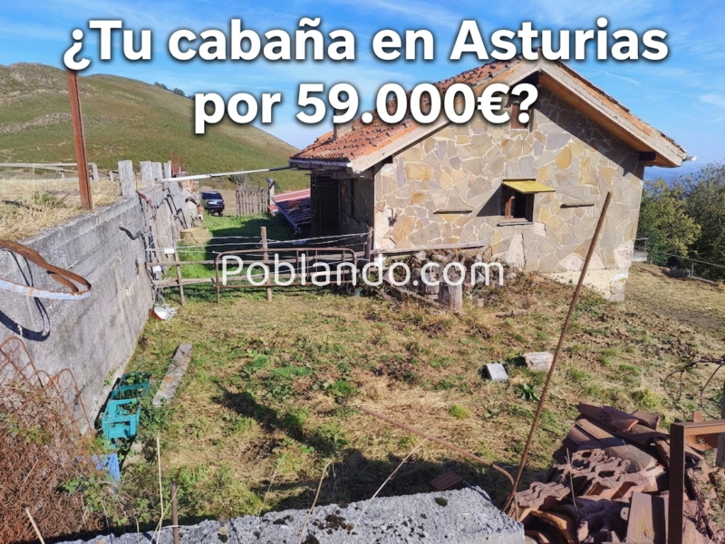 🏔️ ¡OCASIÓN ÚNICA EN ASTURIAS! Cabaña Rural con Finca de 8.500 m² en Mayáu Espines (Moreda)