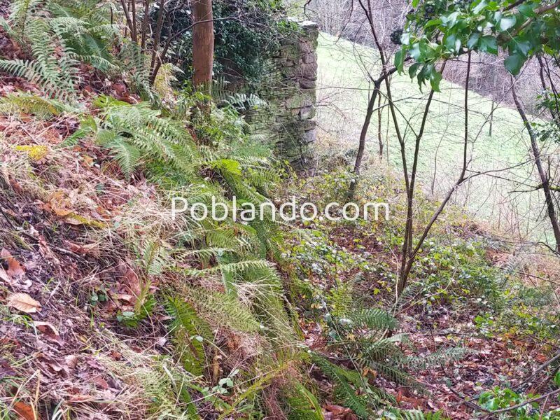 Casa en Puente Villandio (Asturias)