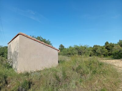 VENTA PARCELA DE OLIVOS EN PLENA PRODUCCION