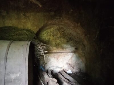 2 Construcciones + finca autosuficiente en Ribeira Sacra
