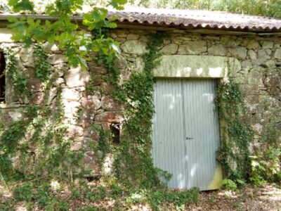 2 Construcciones + finca autosuficiente en Ribeira Sacra