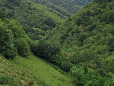 Finca de 30.000 m² con Casa y Cuadras – Ideal Turismo Rural / Cabañas/ Casas Prefabricadas (Pola de Lena, Asturias)
