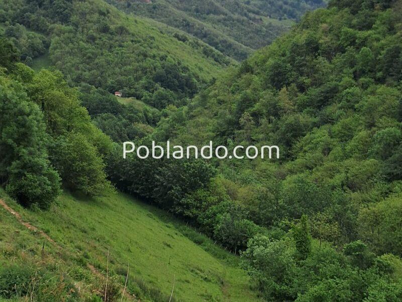 Finca de 30.000 m² con Casa y Cuadras – Ideal Turismo Rural / Cabañas/ Casas Prefabricadas (Pola de Lena, Asturias)