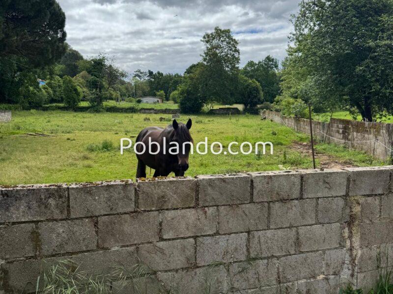 🏡 ¡OPORTUNIDAD ÚNICA EN ARRIONDAS! Finca Parcelable de 3.200 m² con Vistas a los Picos de Europa