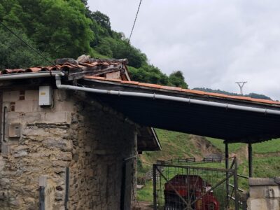 Finca de 30.000 m² con Casa y Cuadras – Ideal Turismo Rural / Cabañas/ Casas Prefabricadas (Pola de Lena, Asturias)