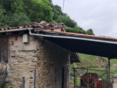 Finca de 30.000 m² con Casa y Cuadras – Ideal Turismo Rural / Cabañas/ Casas Prefabricadas (Pola de Lena, Asturias)