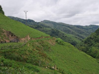 Finca de 30.000 m² con Casa y Cuadras – Ideal Turismo Rural / Cabañas/ Casas Prefabricadas (Pola de Lena, Asturias)