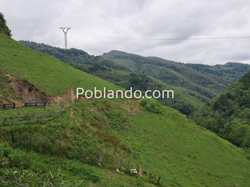 Finca de 30.000 m² con Casa y Cuadras – Ideal Turismo Rural / Cabañas/ Casas Prefabricadas (Pola de Lena, Asturias)