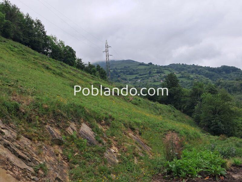 Finca de 30.000 m² con Casa y Cuadras – Ideal Turismo Rural / Cabañas/ Casas Prefabricadas (Pola de Lena, Asturias)