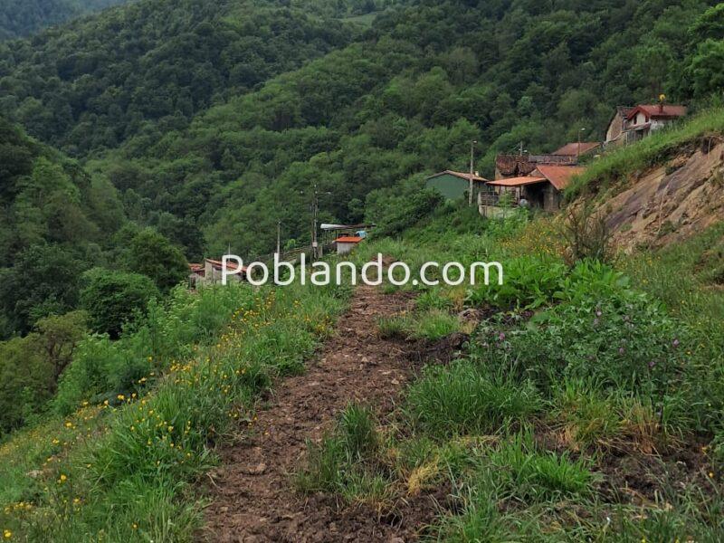 Finca de 30.000 m² con Casa y Cuadras – Ideal Turismo Rural / Cabañas/ Casas Prefabricadas (Pola de Lena, Asturias)